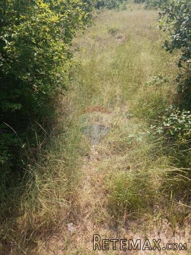 Smoljanci, građevinsko zemljište , odlično za investiciju - 3