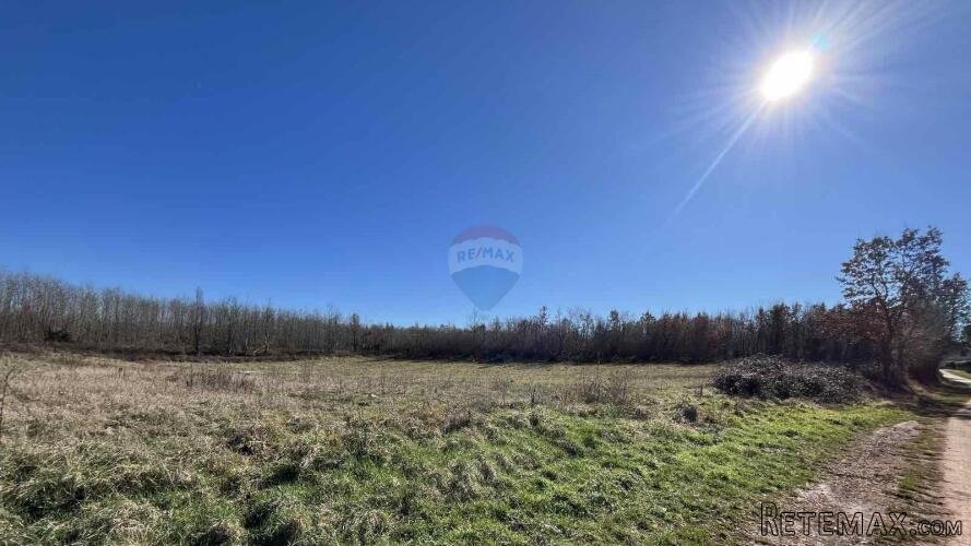 Istra, Kaštelir, poljoprivredno zemljište 8929 m2