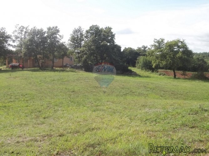 Tinjan, građevinsko zemljište na lijepoj poziciji - 3