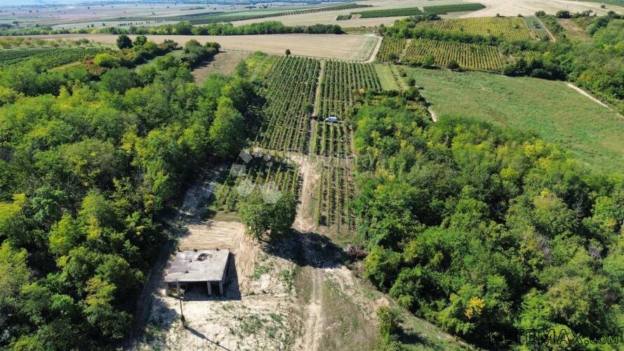 DRAŽ - ZGRADA ZA EKSKLUZIVNU VINARIJU S KUŠAONICOM I BAZENOM
