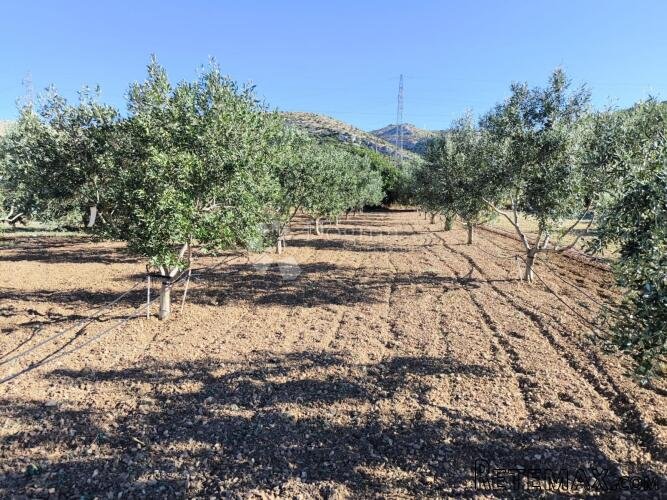Zemljište s otvorenim pogledom na more - Trogir - 3