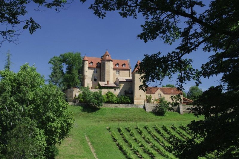 Breathtaking Chateau surrounded by.. - 2