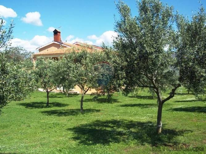 Istra-kuća sa 2.000 m2 zemljišta na mirnoj lokaciji,... - 2