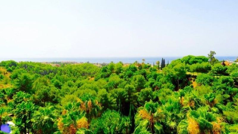 3 Bedrooms - Penthouse - Malaga - For.. - 2