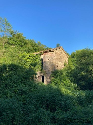 Istra,Belaj-Staro istarsko imanje s kućom za adaptaciju i ve