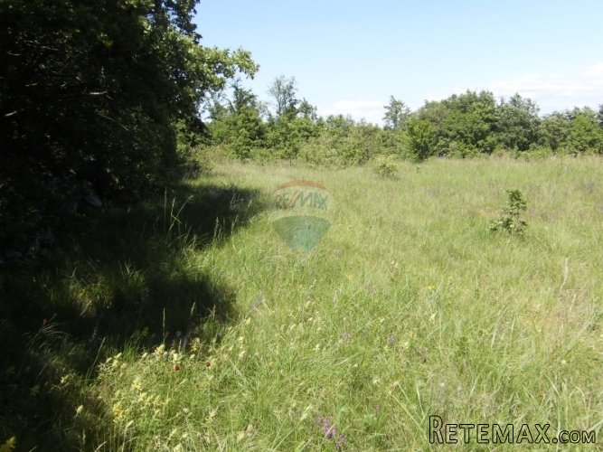 Žminj, Vidulini , građevinsko zemljište 4210 m2 - 2