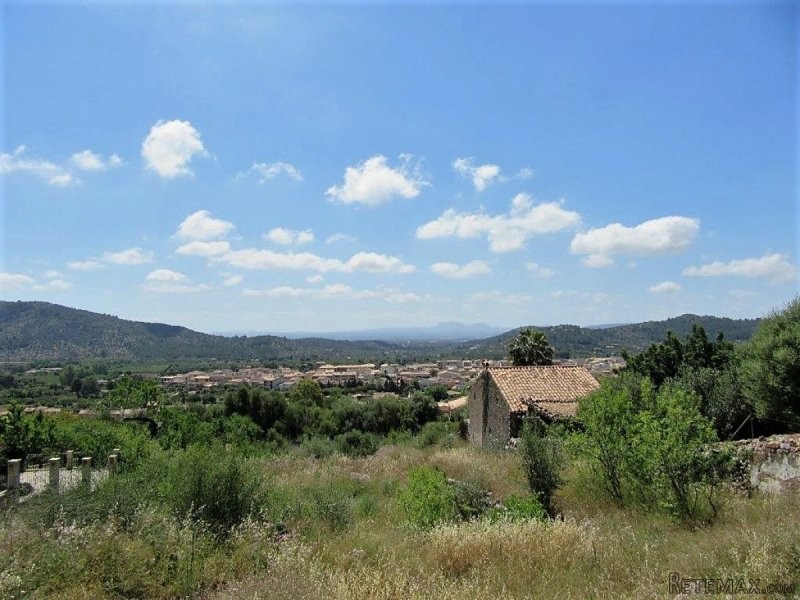 Fantastic building plot in Alaro with.. - 2