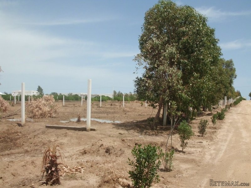 terrain loti de 346 m2 - 2