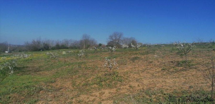 Plac 71 ar , Umčari-Grocka - 2