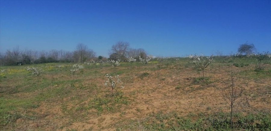 Plac 71 ar , Umčari-Grocka - 3