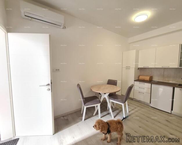 Prodaje se nekretnina s dva apartmana – Pula - 3