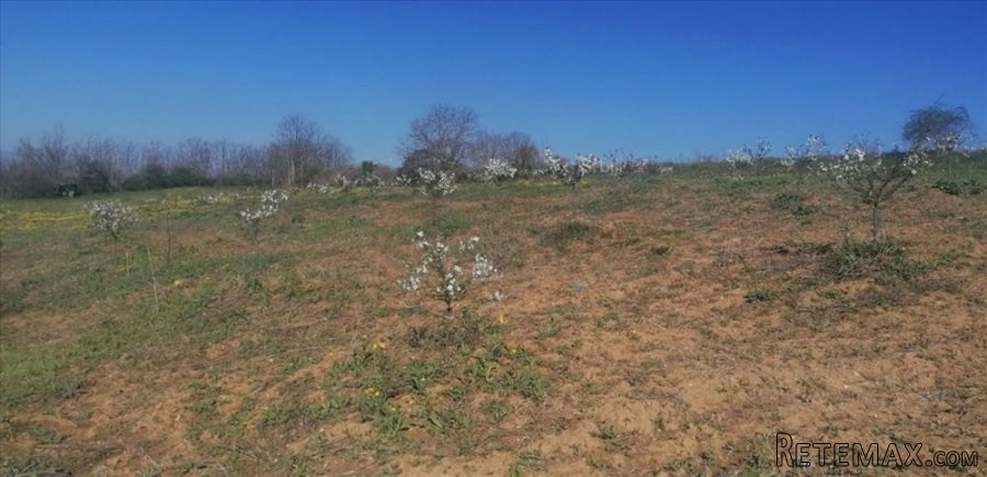 Plac 71 ar , Umčari-Grocka - 4