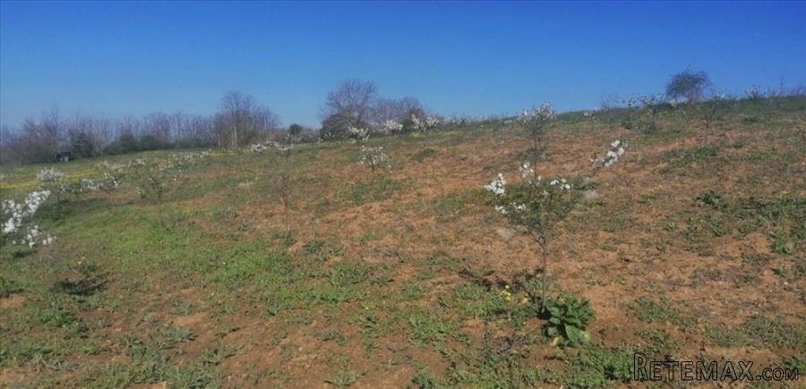 Plac 71 ar , Umčari-Grocka - 10