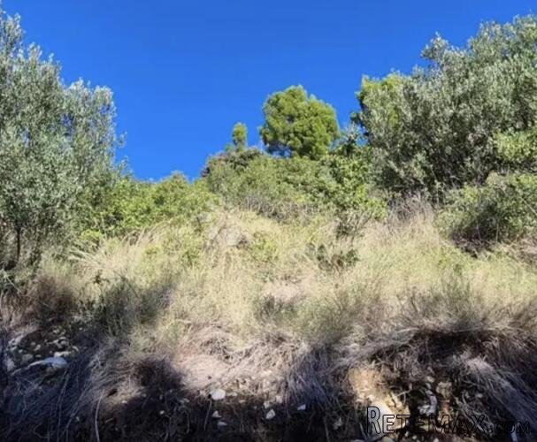 Poljoprivredno zemljište drugi red od mora – Dingač - 2