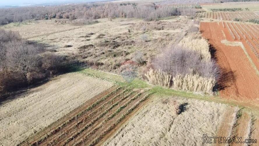 Istra, Kaštelir - Poljoprivredno zemljište u Kašteliru