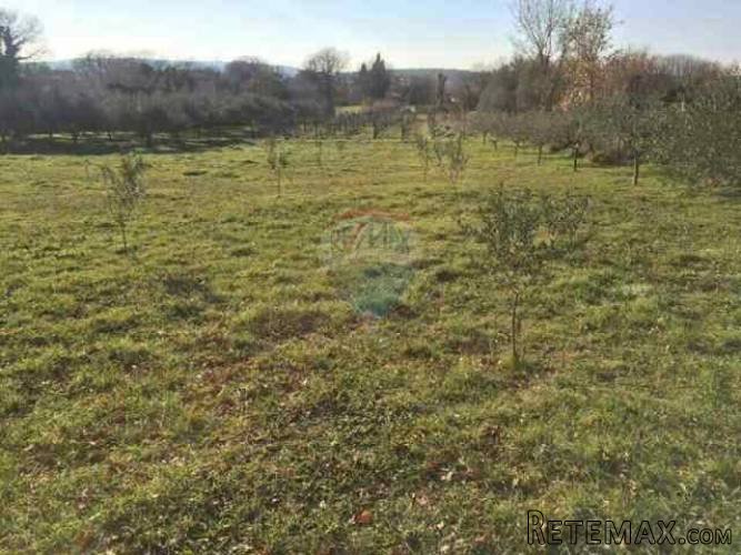 ISTRA, POMER, građevinsko zemljište 350m od mora - 3