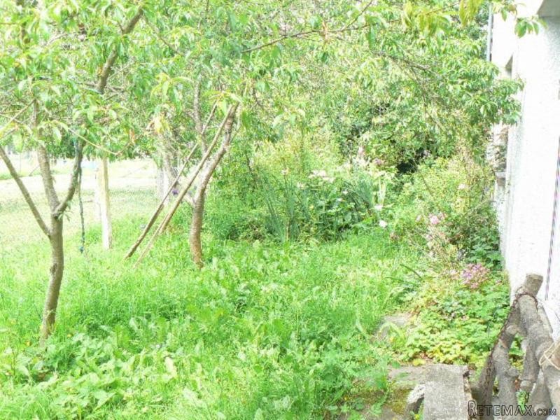 Superb Renovation Opportunity - 2