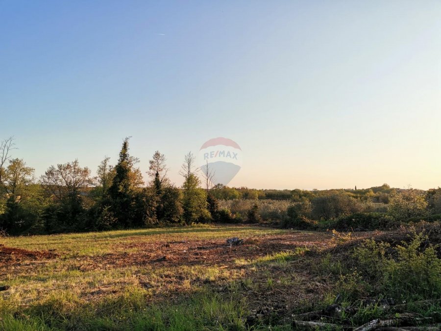 Istra, Brtonigla - Građevinsko zemljište sa blagim pogledom