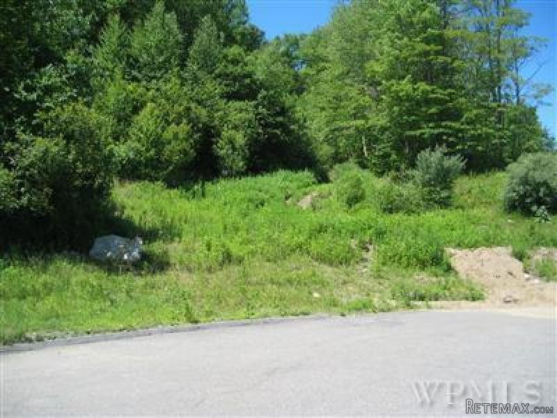 Land For Sale: 20 Hardscrabble Heights..