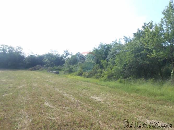 Istra, Marčana, Peruški, poljoprivredno zemljište - 5