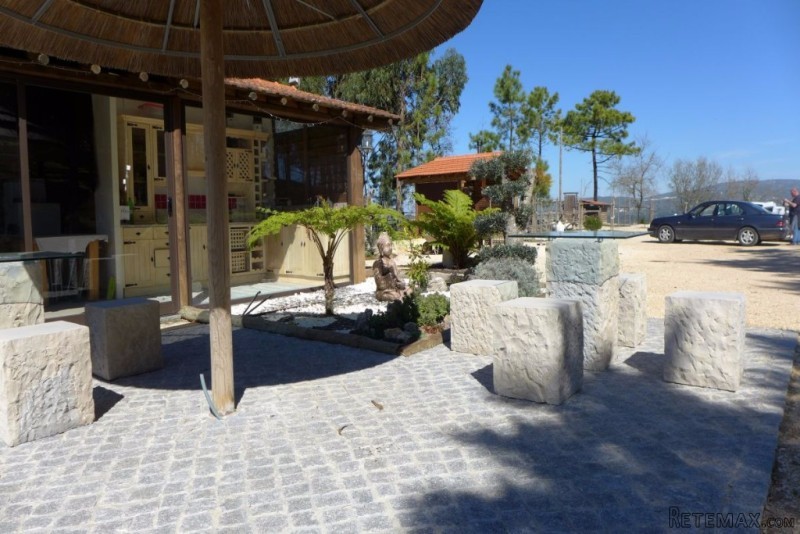 Fantastic 20 hectares farm with.. - 2