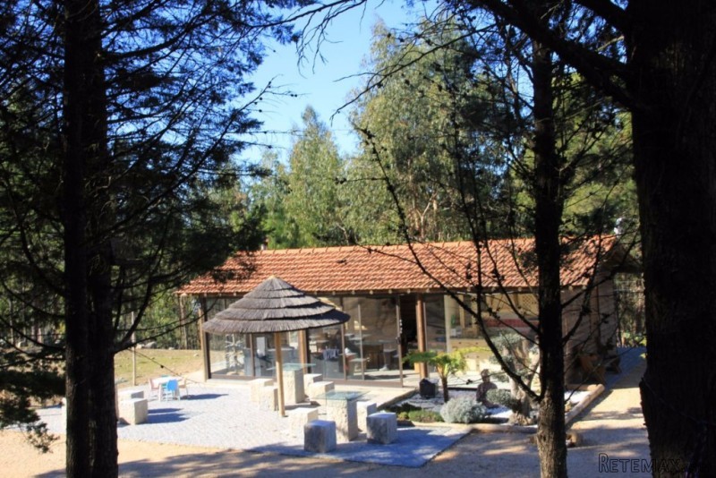 Fantastic 20 hectares farm with..
