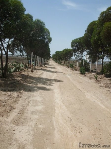 Terrain loti a vendre a Hergla - 2