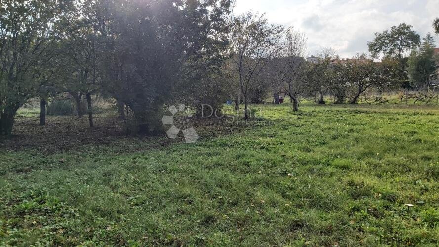 Rijetkost u ponudi, 350 metara od mora! - 3