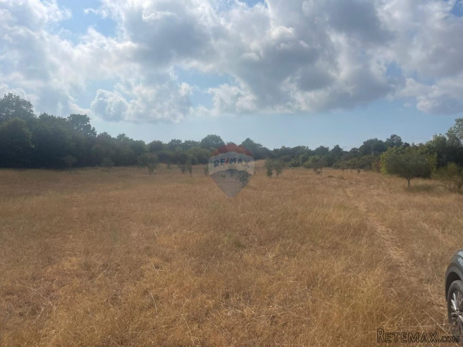 Istra,Bale,poljoprivredno zemljište sa maslinama - 5