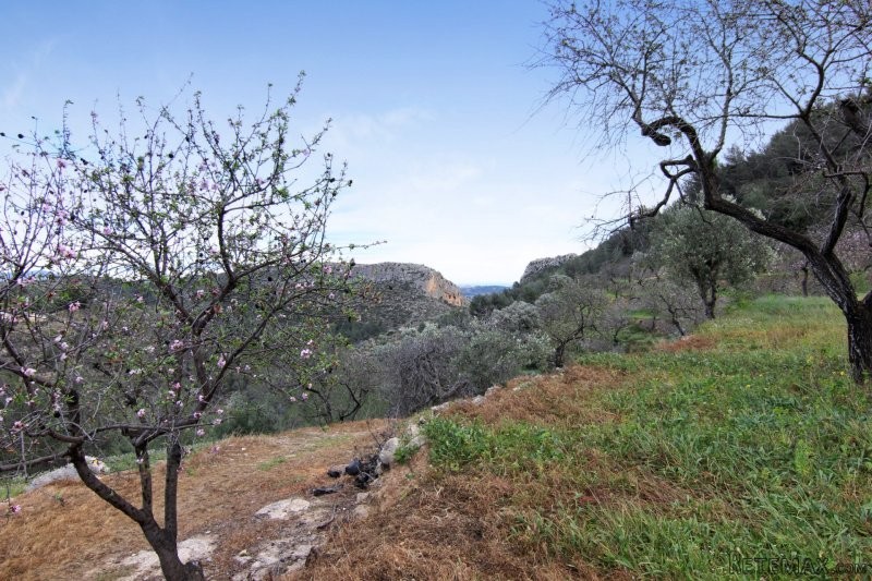 Beautiful plot in Benissa