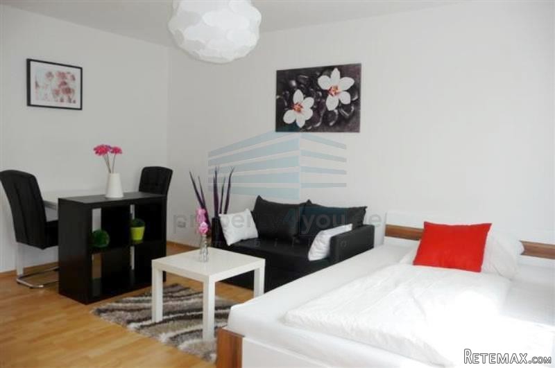 Mobliertes 1-Zi. Apartment /.. - 2
