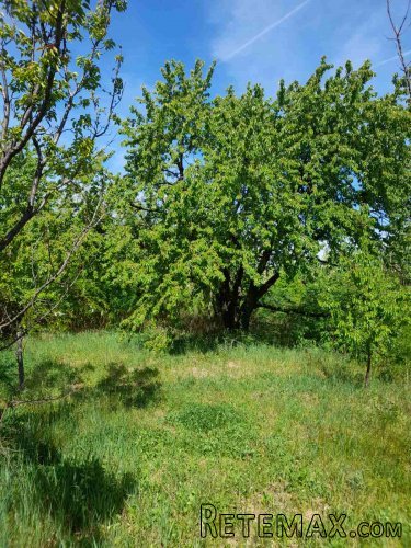 Prodajem vikendicu, Čortanovci - 2