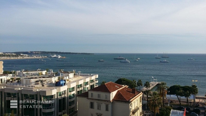 Magnificent apartment Cannes Croisette
