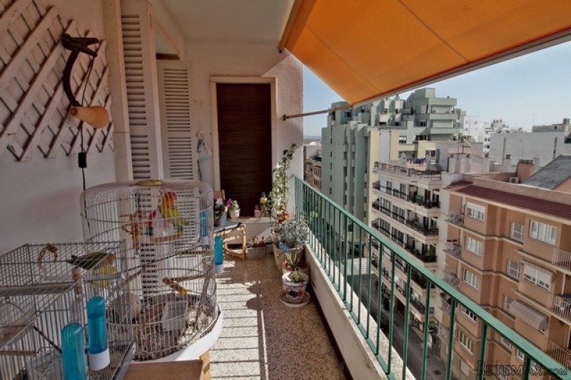 4 bedroom apartment in Palma De Mallorca - 2