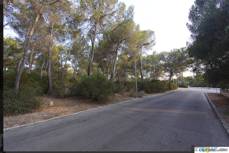 Building Land With License In Cala..