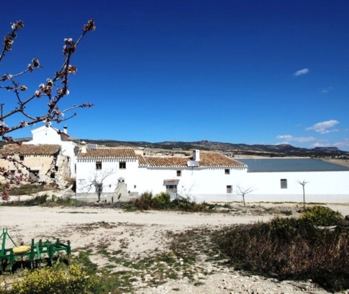 Cortijo / Country House in Velez Blanco - 2