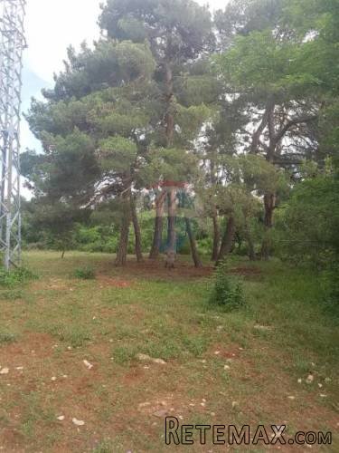 Istra, Buje građevinsko zemljište stambeno poslovne namjene