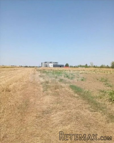 Dobanovci-gradjevinsko zemljiste 103 ara - 5