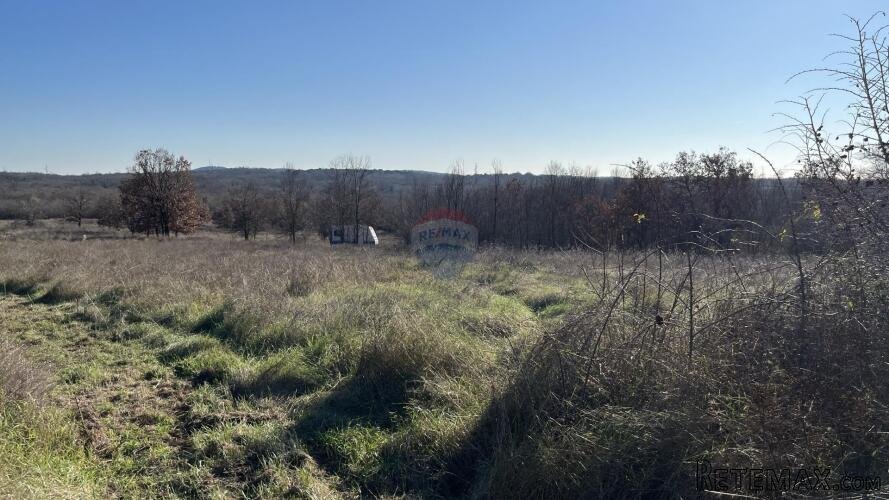 Vrsar okolica, poljoprivredno zemljište