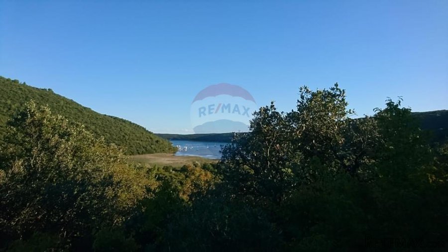 ISTRA, VALTURA, šuma uz pristupni put