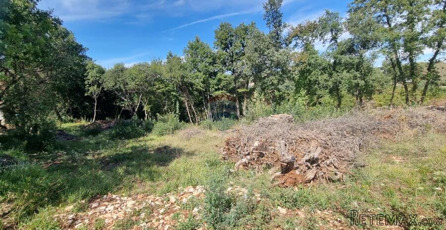 Istra, Šegotići građevinsko zemljište 1640m2 - 2