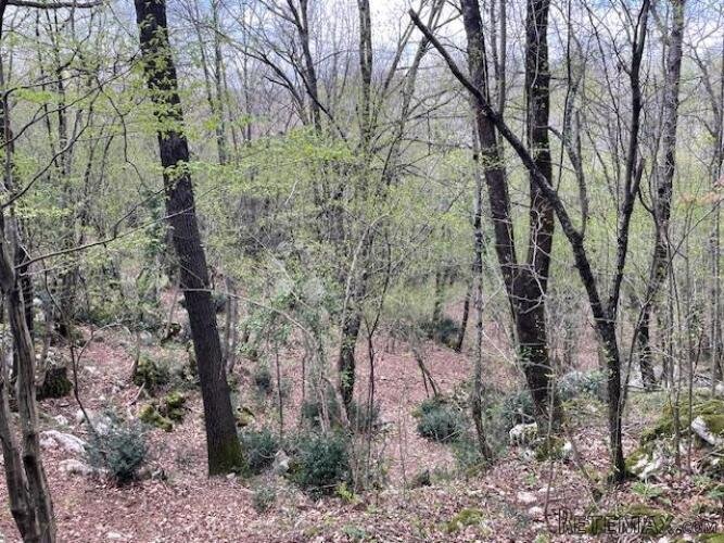 Matulji -10471m2,teren za više obiteljskih kuća