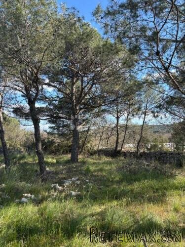 GRAĐEVINSKO ZEMLJIŠTE – DUBRAVA KOD ŠIBENIKA, 4.395 m² - 3