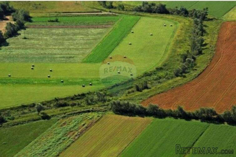Istra.Grožnjan-Poljoprivredno zemljište