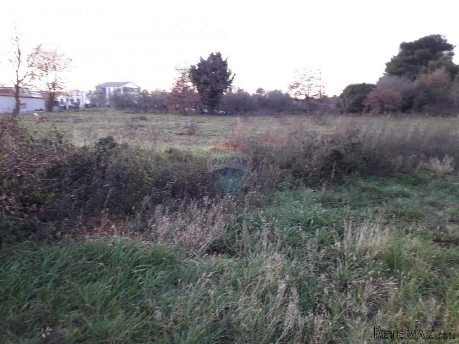 ISTRA,VOLME,NEGRAĐEVINSKO ZEMLJIŠTE 600M DO MORA