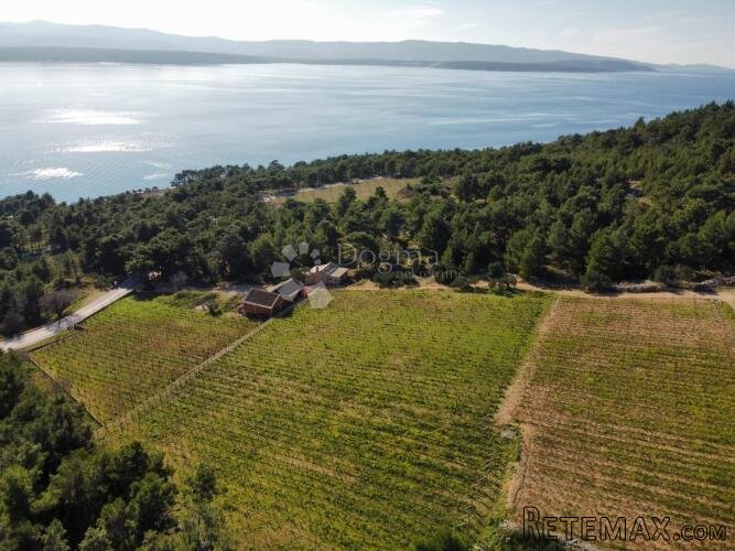 BOL 2 KUĆE + VINOGRAD OD 9614m2 S TOP POGLEDOM - 3