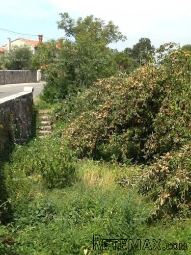 Sveti Petar u Šumi, kuća i zemljište - 3