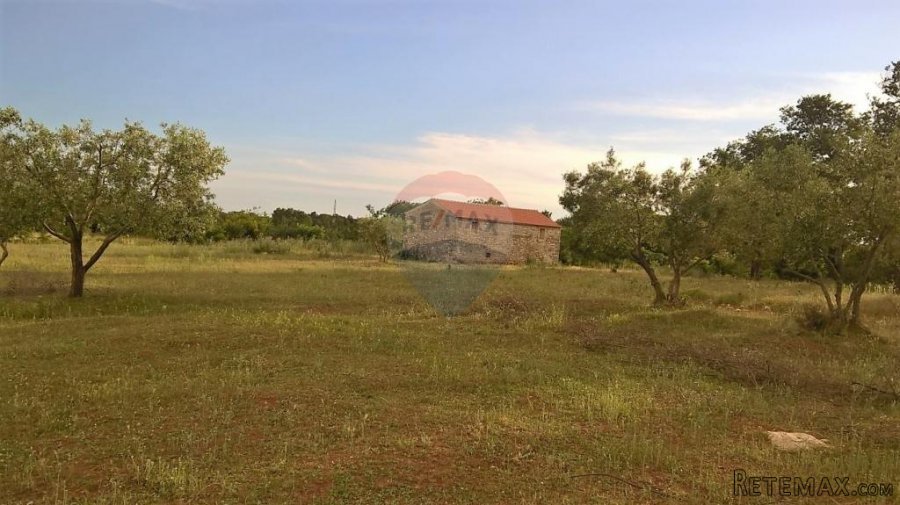 Tar, stoljetna kuća za adaptaciju sa velikim imanjem