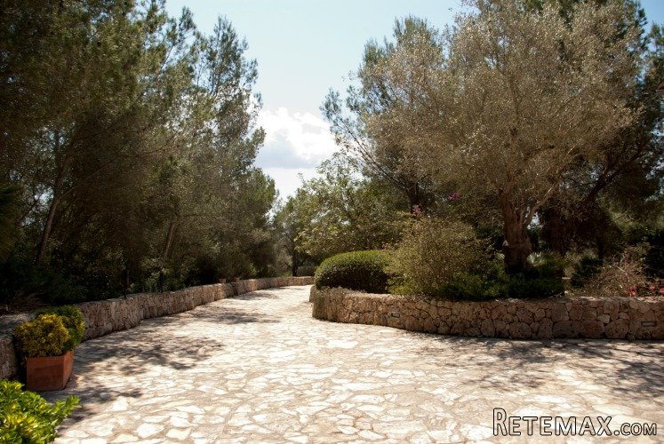 The finca/country home has a generous living area of 743 m2.. - 3