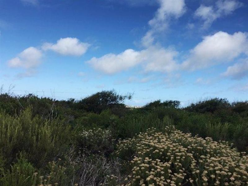 Bettys Bay Vacant Land, Bettys Bay - 2